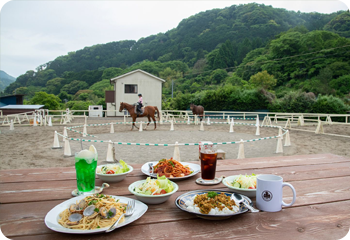 天気の良い日はテラス席で馬を眺めながら