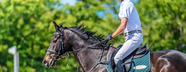 乗馬をはじめる際の服装選びのポイントとは？避けたいNG例も解説サムネイル