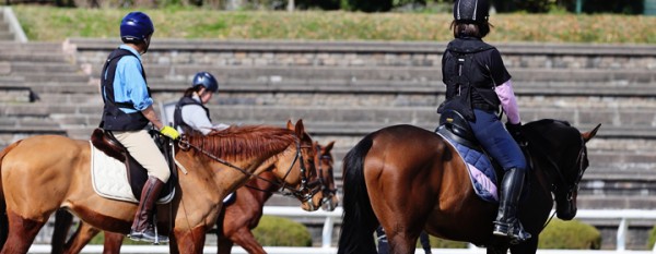 乗馬には運動神経が必要？上達のコツやトレーニングを解説！サムネイル