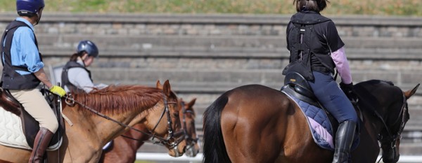 乗馬を趣味にしたい人必見！はじめる前に知っておきたいことを解説サムネイル