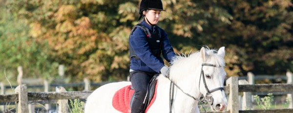 子どもの習い事には「乗馬」がオススメ？気になるメリットやクラブの選び方を解説サムネイル