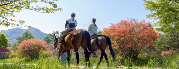 乗馬を体験する前に押さえてきたい情報を解説！主な種類や注意事項についてサムネイル